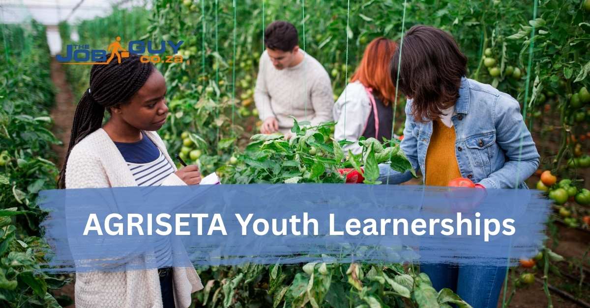 Young South African agriculture students receiving practical crop production training during an AGRISETA learnership.