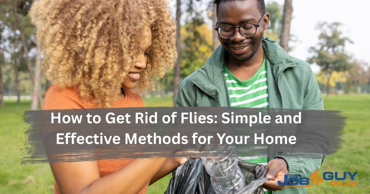 how to get rid of flies